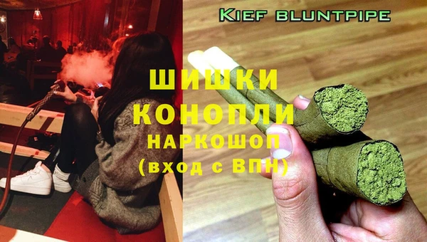 прущая мука Богданович