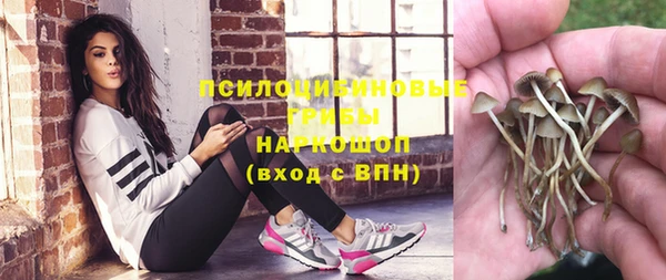 метадон Богородицк
