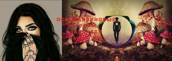 прущая мука Богданович