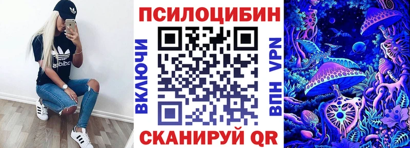 сколько стоит  Козельск  ОМГ ОМГ ССЫЛКА  Галлюциногенные грибы Psilocybine cubensis 